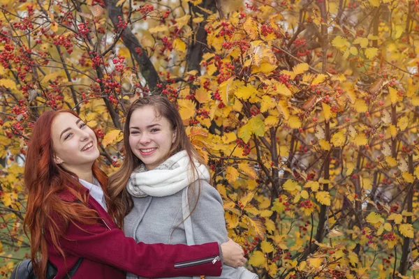 Дві щасливі молоді дівчата на яскравому осінньому фоні — стокове фото