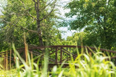 Yaz patika şehir Park güneşli bir günde bir köprü ile