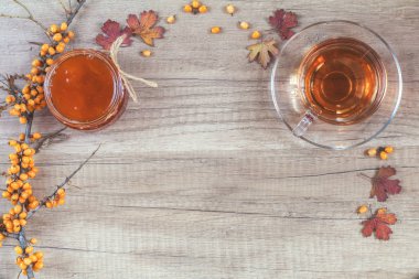 Sonbahar sağlıklı sıcak içecek konsepti. Ortak deniz topalak Şubesi