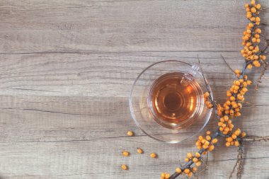 Sonbahar sağlıklı sıcak içecek konsepti. Ortak deniz topalak Şubesi