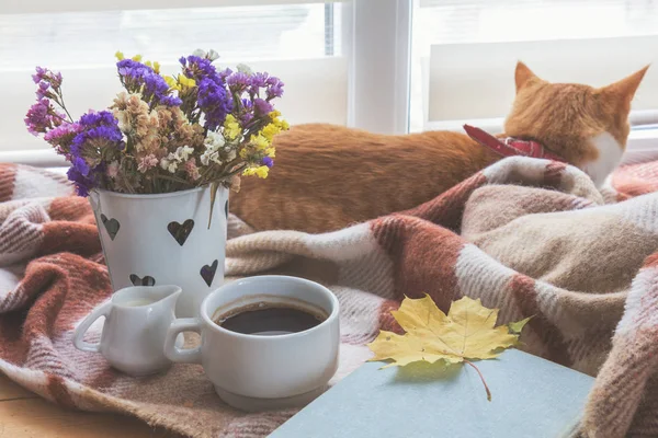 Kopje koffie, boek met Herfstblad geel en rood-witte kat su — Stockfoto