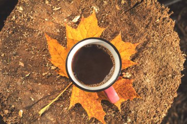 Fincan kahve, sarı akçaağaç ve ahşap tahta üzerinde Meşe yaprağı. 