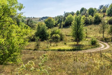 Güneşli yaz günü açık gökyüzü ve köy yolunda ormandaki