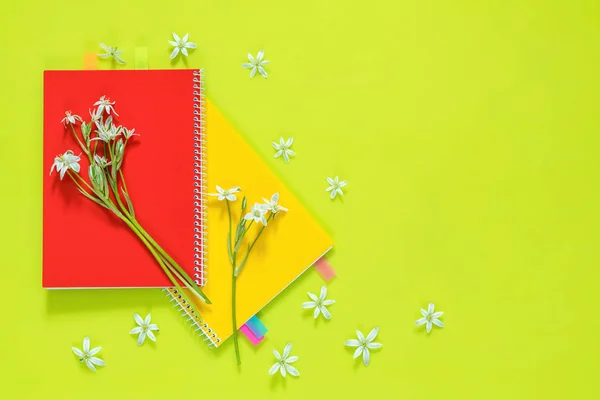 Fleurs ornithogalum et carnets rouges et jaunes — Photo