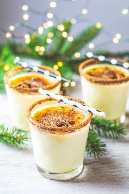 Noel ve kış tatili için tarçınlı yumurta likörü ve hindistan cevizi.