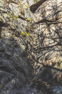 Karanlık Çağlı Pasaklı Uçurum Surat ve Büyük Çatlaklar ve Katmanlarla Bölünmüş