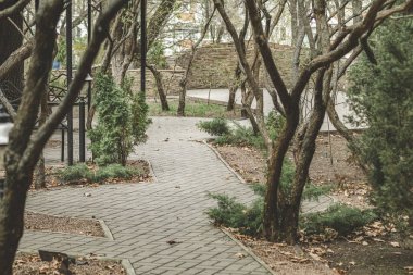 Akşam vakti güzel bir peri masalı bahar parkı. Yüzeyin derinliği. Renklendirme ve işleme fotoğrafı, kopyalama alanı.