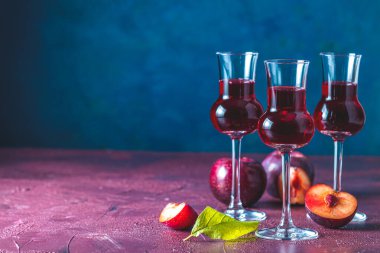 Plums strong alcoholic drink in grappas wineglass with dew. Hard liquor, slivovica, plum brandy or plum vodka with ripe plums on dark blue and claret bordeaux concrete surface clipart