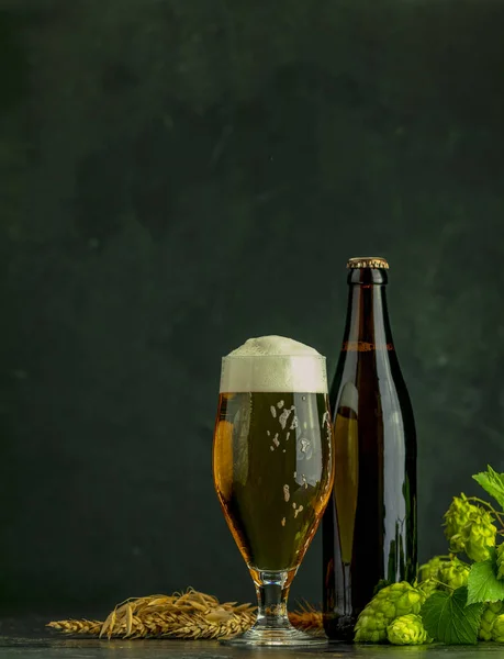 Birra e luppolo. Natura morta con birra e pianta di luppolo in stile retrò. Bicchiere di birra fredda schiumosa bottiglia marrone di birra e saltare su uno sfondo scuro . — Foto Stock