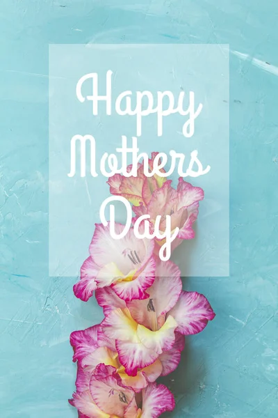 Glücklicher Muttertag Satz im Rahmen. Bordüre aus rosa Gladiolen auf blauem Betongrund. Gladiolenmuster mit Platz für Ihren Text, Urlaub — Stockfoto