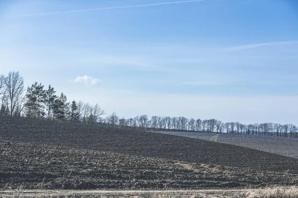 Vorfrühling Ländliche Landschaft Wellenförmig Gepflügtes Feld Zeitigen Frühling Eine Baumgruppe — Stockfoto