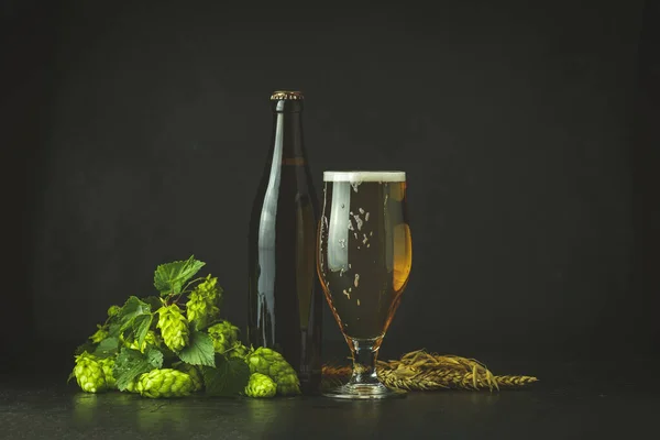 Still life with beer and hop plant in retro style. Glass of cold foamy beer brown bottle of beer and hop on a dark background