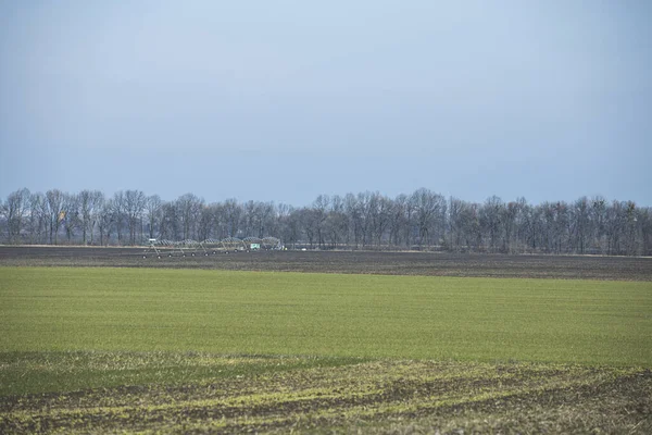 Vorfrühlingslandschaft Mit Landwirtschaftlichem Sprinkler Auf Dem Winterweizenfeld Sonniger Tag Konzept — Stockfoto