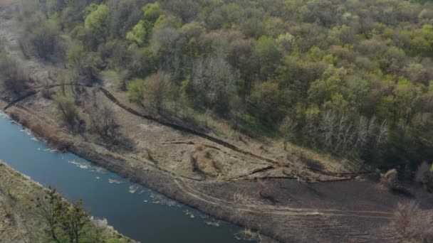 Widok Lotu Płonącej Ziemi Pni Drzew Wiosennym Pożarze Lesie Czarne — Wideo stockowe