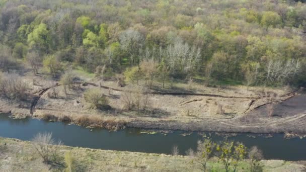 Luchtfoto Verschroeide Aarde Boomstammen Een Lentebrand Het Bos Zwart Afgebrand — Stockvideo