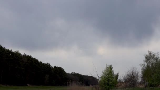 Tło ciemnych chmur przed burzą nad polami wiosennymi i lasem. Czas upływa.. — Wideo stockowe