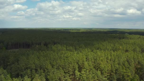Çam Ormanlarının Kırsal Alanların Üzerinde Güneşli Bahar Zamanı Uçan Hava — Stok video