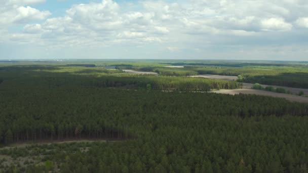 Drone Aérien Survolant Champ Forêt Pins Campagne Printemps Nuageux Ensoleillé — Video