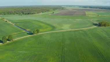  Arazi iyileştirme ya da arazi ıslah konsepti, Dar sulama kanalları üzerinde uçan İHA ya da güneşli bahar zamanı kırsal alanlarda. Riskli tarım bölgesi.