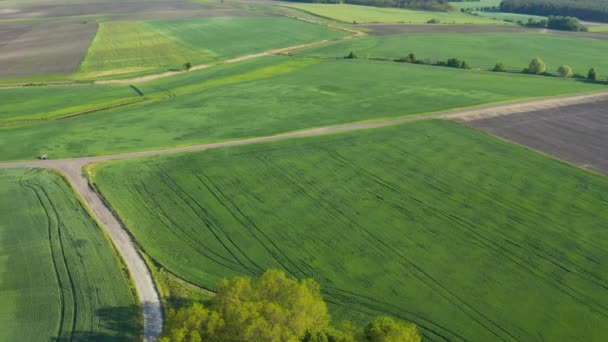 Ulepszenie Terenu Lub Koncepcja Amelizacji Terenu Dron Latający Nad Terenami — Wideo stockowe