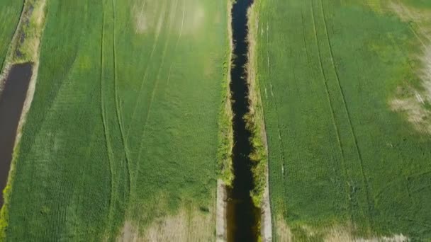 Földjavítási Vagy Földjavítási Koncepció Keskeny Öntözési Vagy Vízelvezető Csatornák Felett — Stock videók