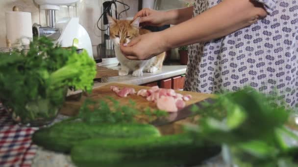 Close Van Vrouwelijke Handen Die Vers Varkensvlees Snijden Een Houten — Stockvideo