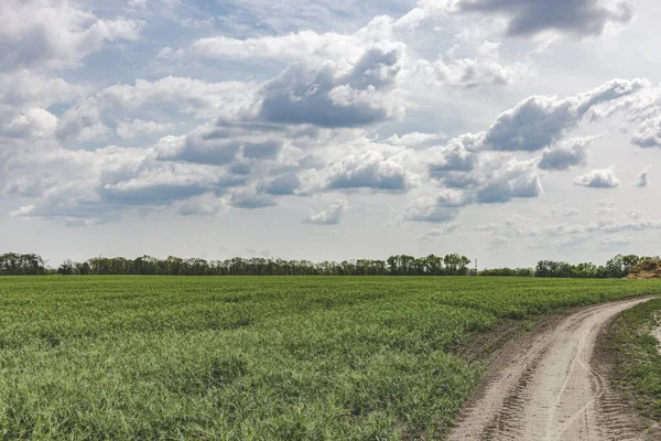 비포장도로와 배경의 투레스 완두콩 아름다운 시골의 구름낀 — 스톡 사진