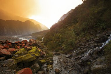 fox buzul Güney Adası Yeni Zelanda traveli güzel manzara