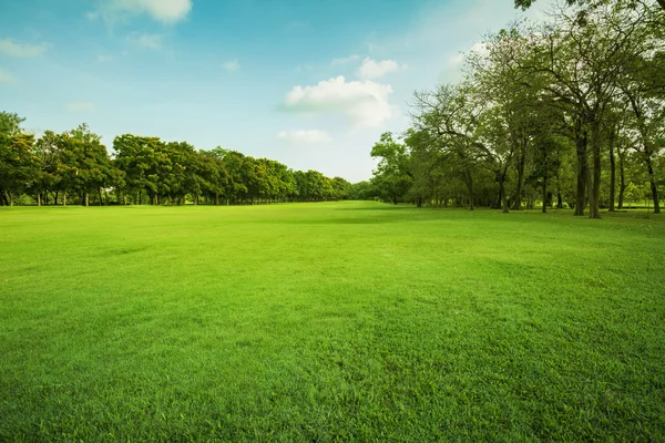 Landscape of grass field and green environment public park use a — Stock Photo, Image