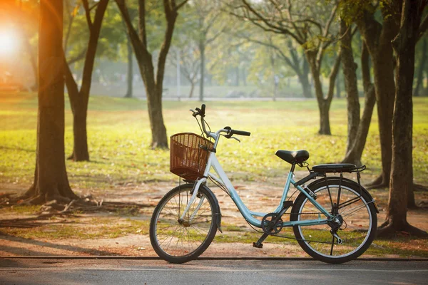 Gammal vintage cykel i offentlig park med engergy Spara och gröna e — Stockfoto