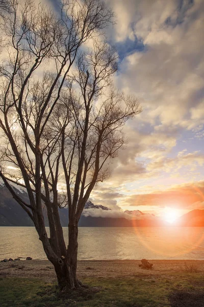 ワカティプ湖クイーンズタウン新しいトウモロコシの美しい風光明媚な太陽セット空 — ストック写真