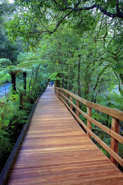 Walking path in milfordsound fiordland national park new zealand — Stock Photo, Image