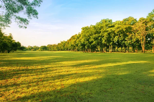 Landscape of grass field and green environment public park use a — Stock Photo, Image