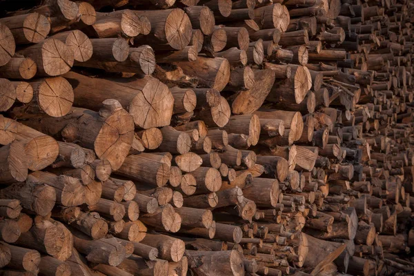 Stack of mangrove wood for making cooking charcoal — Stock Photo, Image