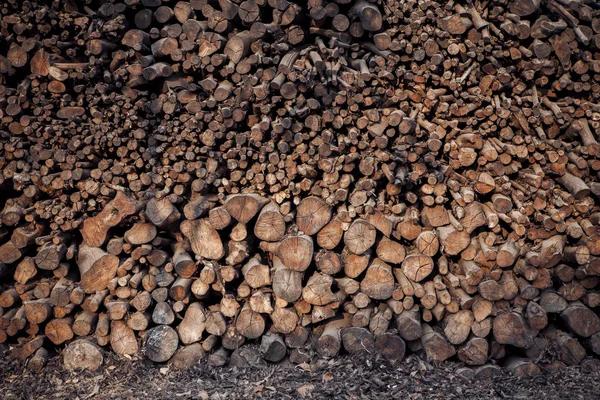 Stack of mangrove wood for making cooking charcoal — Stock Photo, Image