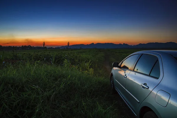美しい太陽と農業界の国の道路で車が空を設定 — ストック写真