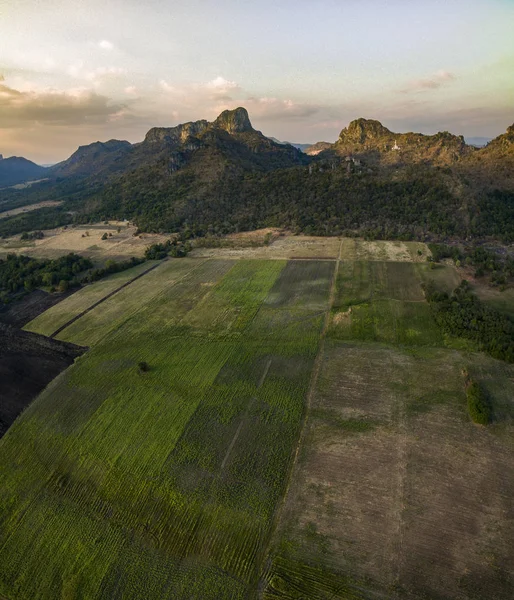 Vista aérea del campo agrícola en lopburi central de Tailandia — Foto de Stock