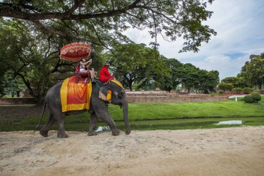 Ayuthaya Tayland-Eylül 6: Ay içinde fil sürme turizm