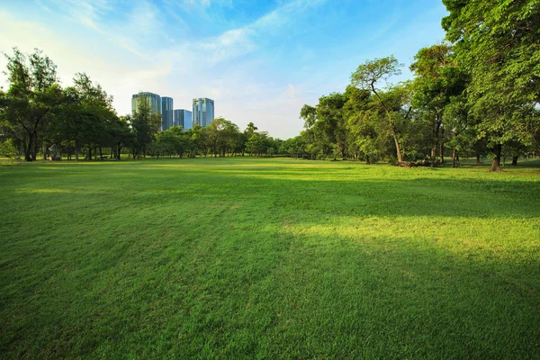 Beautiful morning light in public park with grass field and gree — Stock Photo, Image