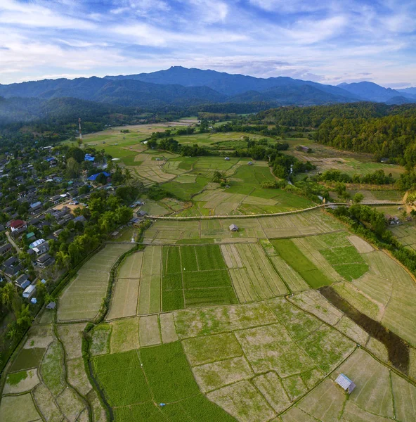 Letecký pohled na zelené rýže rýžového pole a žalovat tong pe bambus bri — Stock fotografie
