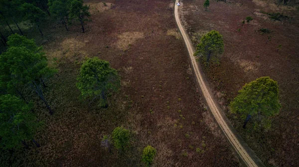 Aerial view of dirt track in pind forest in northern of thailand — Stock Photo, Image