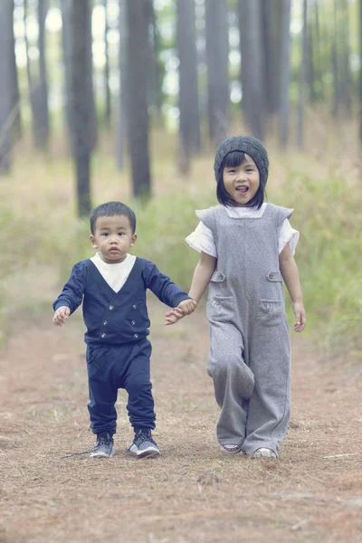 Aziatische schattig broertje van jongen en meisje hand in hand wandelen ik — Stockfoto