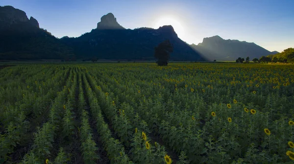 Güneşte çiçek alan ve limon taş dağın hava görünümü lopbu — Stok fotoğraf
