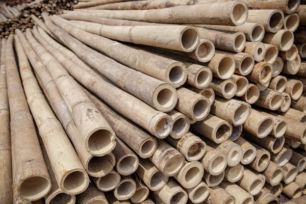 Stapel van bamboe hout — Stockfoto
