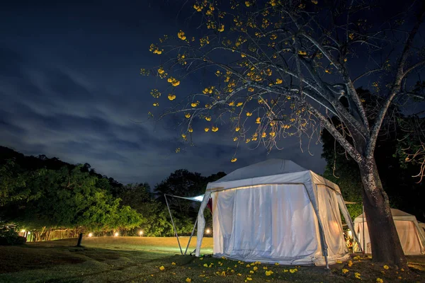 African safari camping tent and beautiful blue night sky — Stock Photo, Image