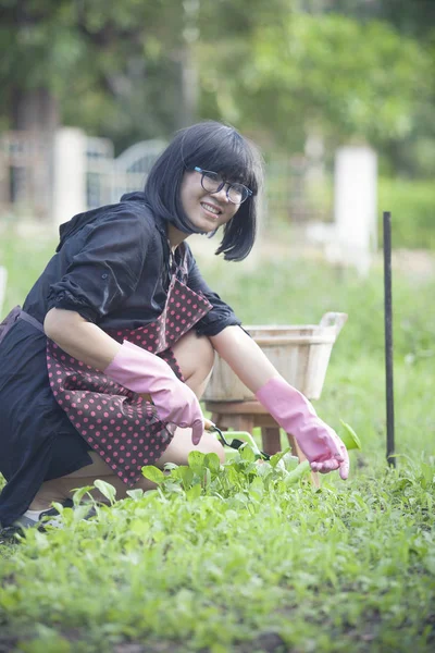 Asyalı kadın ev bahçe mutluluk LIF çalışma yüzü gülüyor — Stok fotoğraf