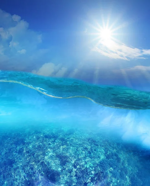 Barriera corallina sotto l'acqua di mare blu profondo e sole splendente sopra il cielo — Foto Stock