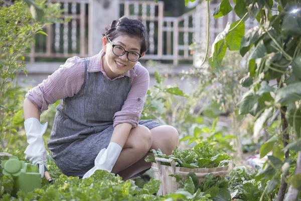 Glück asiatische Frau entspannt sich im heimischen Gemüsegarten — Stockfoto