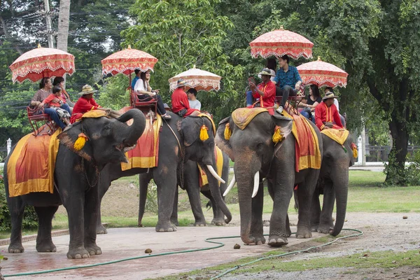 AYUTHAYE THAÏLANDE - 6 NOVEMBRE : touriste asiatique sur éléphant de retour — Photo