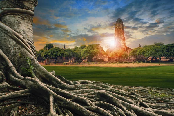 Gran raíz del paisaje de tierra del árbol de Banyan de pagoda antigua y antigua en —  Fotos de Stock